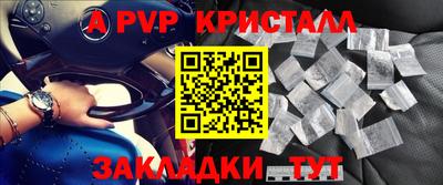 гашик Новозыбков