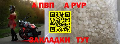 гашик Новозыбков