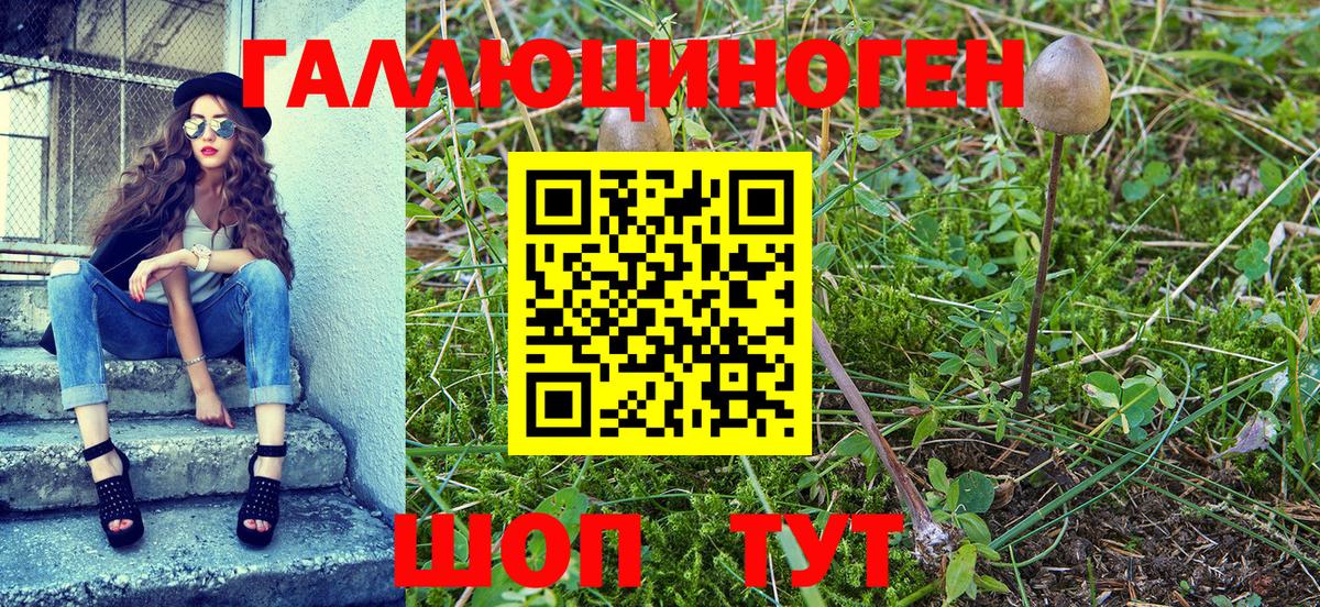 Рубцовск  Псилоцибиновые грибы ЛСД  где продают наркотики  Псилоцибиновые грибы MAGIC MUSHROOMS  Вход с VPN 