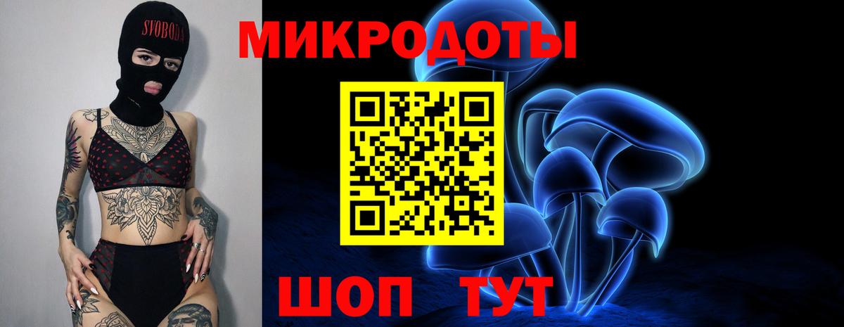 Галлюциногенные грибы Cubensis Рубцовск